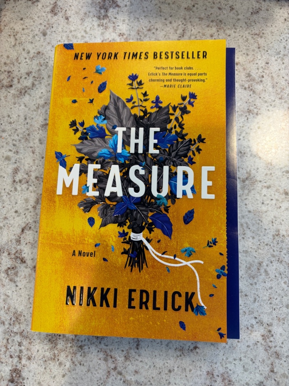 The Measure by Nikki Erlick - Yellow & Blue Paperback Novel